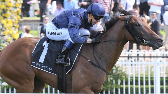 Tulip has had two tough runs but she looks the one to beat in the Inglis Sires’