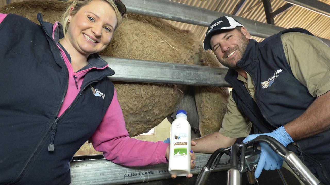 Victoria regulates camel milk as part of a raft of primary industry ...