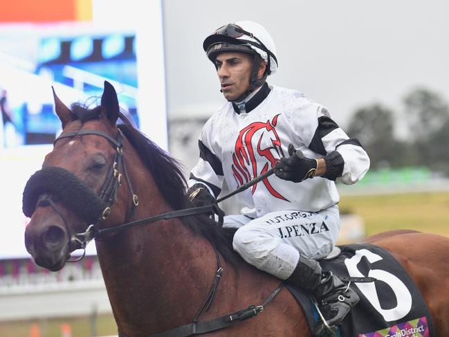 Jockey Jeff Penza brings home Signore Fox, from the Peter and Paul Snowden stables, after the four-year-old snatched victory in the 2020 GDSC Ramornie Handicap.