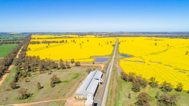 Inland Rail passing a canola field in Parkes.