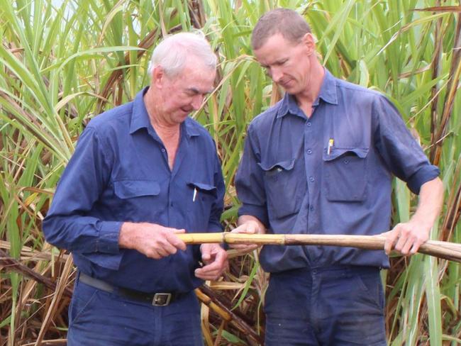 Tom and Marty Walsh are fourth and fifth generation cane farmers in the Richmond Valley area.