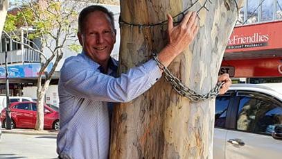 Gympie Chamber of Commerce president Tony Goodman chained to one of two leopard trees he is fighting to save in the main street of Gympie after the local council marked them for removal and replacement on safety gorunds. The trees are due to be chopped down this Sunday.