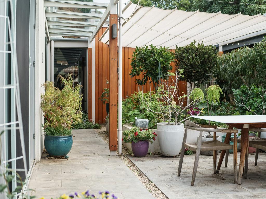 Every nook and cranny in the garden is filled to the brim with fruit, vegetables and herbs Photo: Nick Clayton.