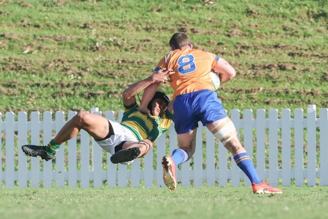 Barnstorming Ashgrove No. 8 Elliot Aldridge with a big don’t argue. Picture by Stephen Archer.