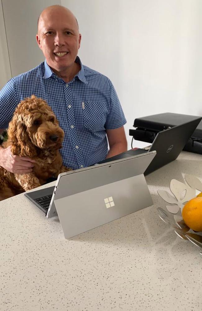Peter Dutton with dog Ralph at home after testing positive with coronavirus.