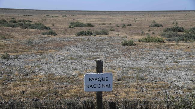 A scorched field in the Donana National Park in Aznalcaraz, southern Spain. Picture: AFP