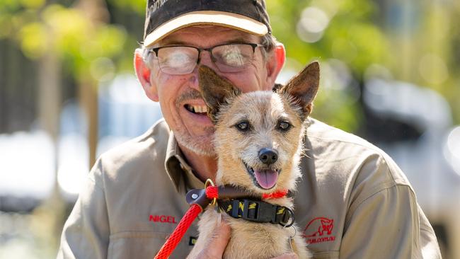 Milo, the Jack Russell terrier found by Animal rescuer Nigel Williamson (pictured) and Toby Mitchell (works for Nigel). Milo was lost for 17 day search around Tullamarine. Picture: Jason Edwards