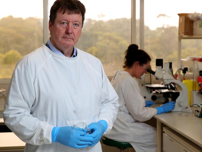 31/01/2020: Professor Trevor Drew, Director of the CSRIO's Australian Animal Health Laboratory, in Geelong, with Experimental Scientist Christina Rootes. The facility will be undertaking research on the coronavirus. Stuart McEvoy/The Australian.