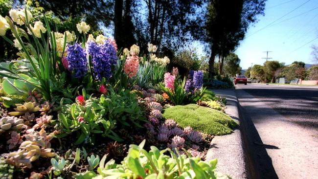 Nature strips in Glen Eira could look like this if councillor support grows.