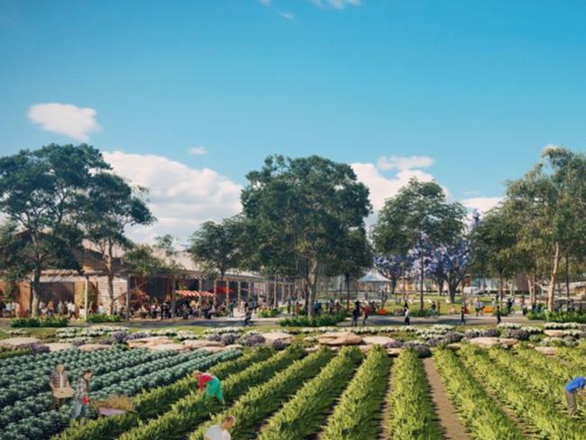 Artist impression of a proposed market garden directly adjacent to the village centre. Picture: Mulpha Australia