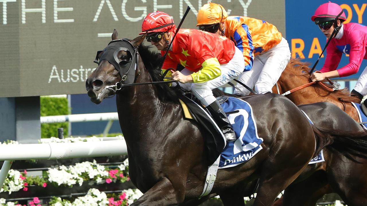 Artorius is aiming to win the Queen Elizabeth II Jubilee Stakes at Royal Ascot in his final race before he goes to stud. Picture: Getty Images