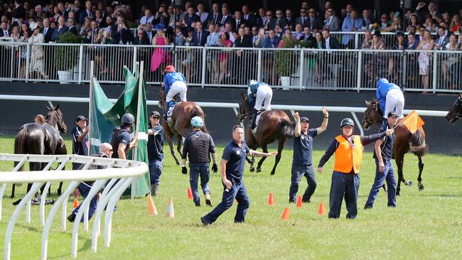 Officials steering the horses away at the end of the race, after The Cliffsofmoher suffered a fall. Picture: Alex Coppel