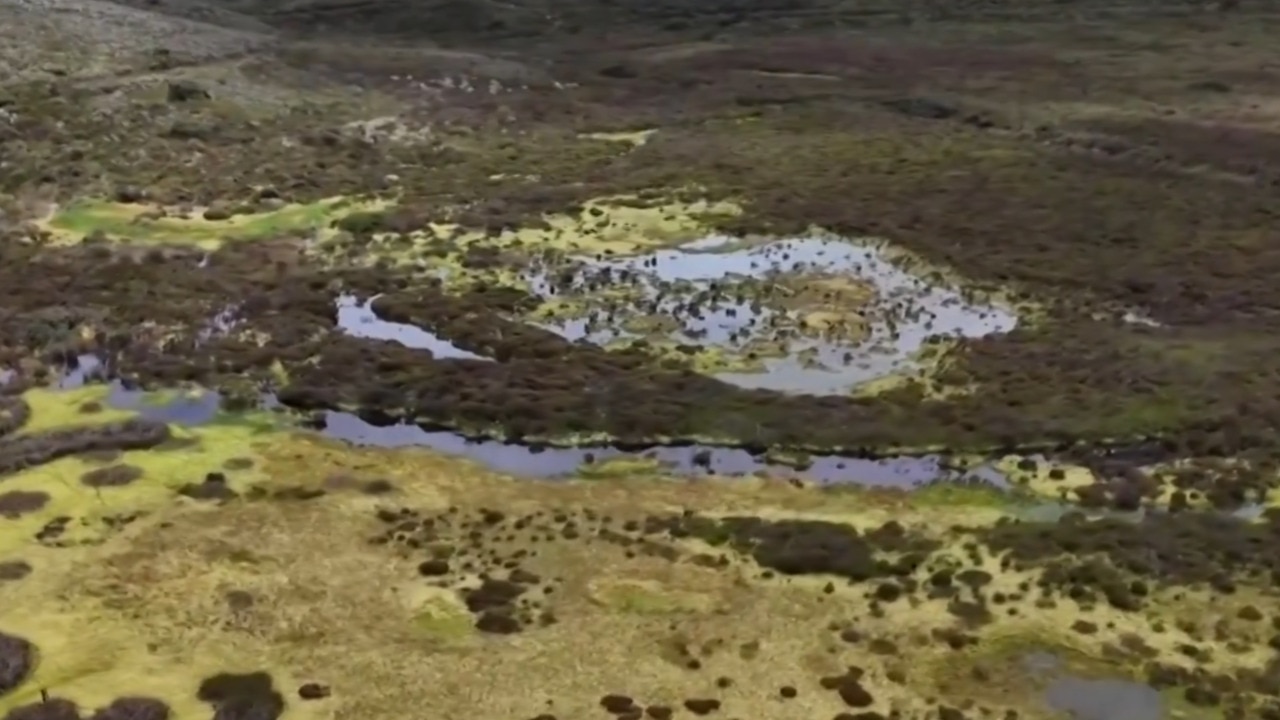 Ecuador And Colombia Fight To Protect Vital Wetlands | Gold Coast Bulletin