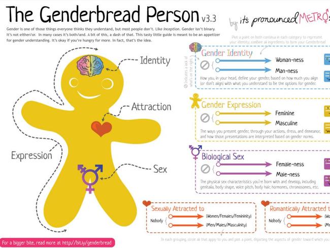 The Genderbread Person descibed on the itspronouncedmetrosexual.com website.