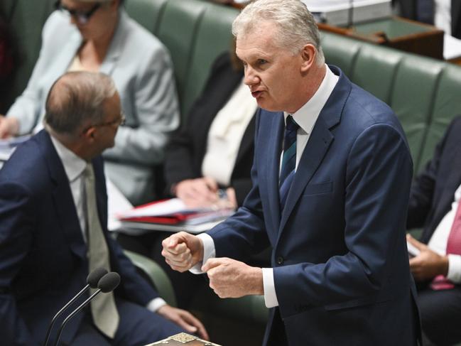 Employment Minister Tony Burke hailed the decision. Picture: NCA NewsWire / Martin Ollman