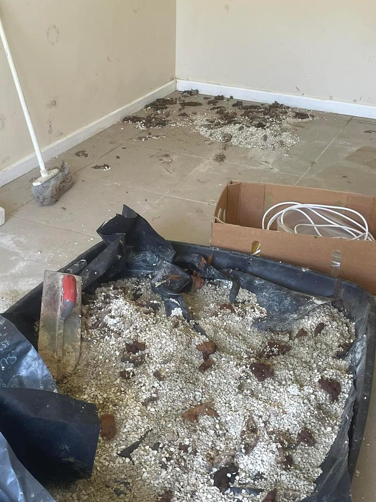 A group of Townsville volunteers found 45 cats living in a house after their owner passed away this week.