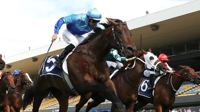 Ikasara became the latest two-year-old from the Gai Waterhouse and Adrian Bott stable at Rosehill on Saturday. Picture: Jeremy Ng/Getty Images