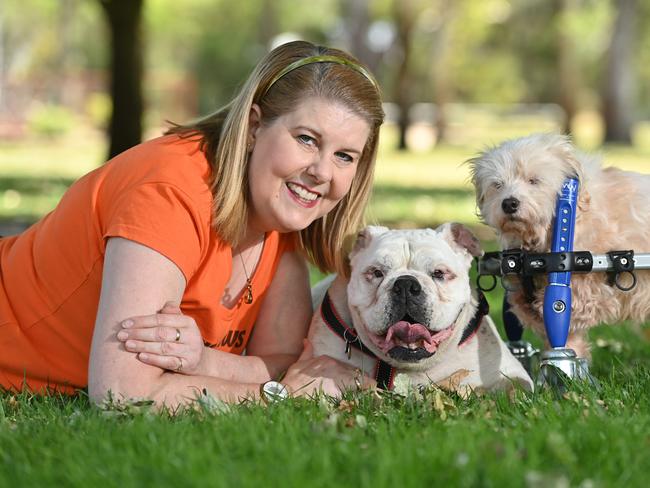 Thanks A Million: Debbie Mundy, founder of Moving Paws, has been recognised for her work sheltering rescue dogs throughout COVID-19. Debbie is pictured with Betsy and Louie (blue wheels). Picture: Keryn Stevens