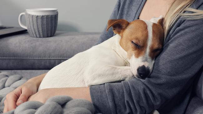 A new study meaures Australians’ deep relationship with their pets.