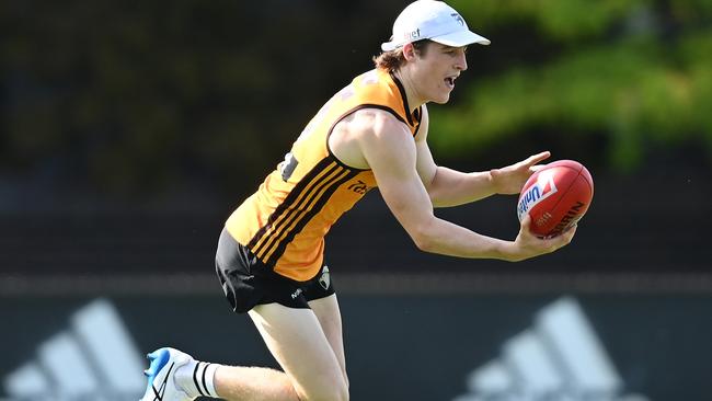 Josh Ward starred for the Hawks against the Tigers. Picture: Quinn Rooney/Getty Images