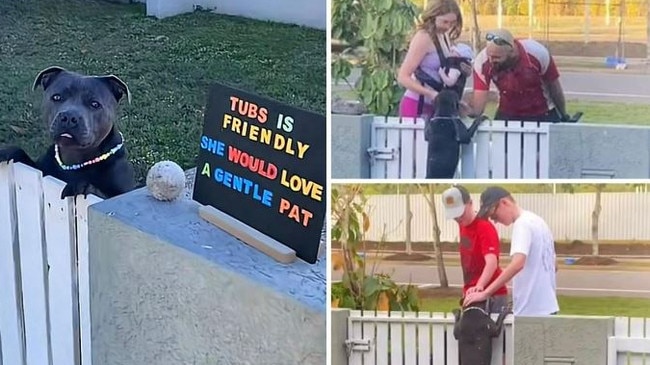 Tub’s owners put up a sign to encourage neighbours to give their pooch a pat and the results were adorable.