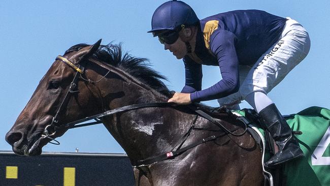 Jockey Ryan Maloney rode the Toby and Trent Edmonds-trained Jetty to a win in the QTIS Two-Years-Old Handicap (1200m) at the Gold Coast Turf Club on April 17, 2020. Picture credit: Greg Irvine.