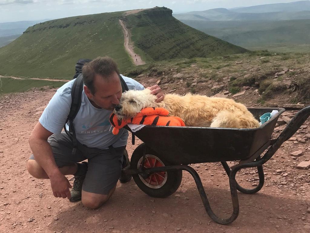 Ten-year-old Monty enjoyed exploring hills and walks all over the country with his owner, Carlos Fresco. Picture: SWNS/Mega