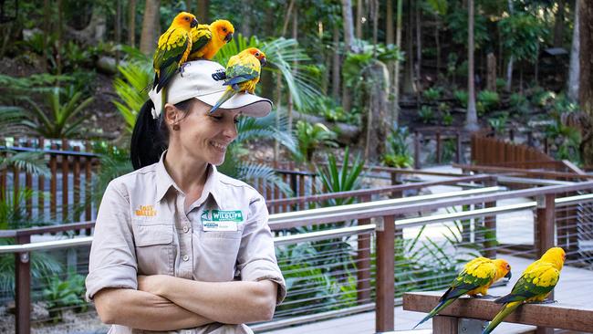 Currumbin Wildlife Sanctuary has been a mainstay for 75 years.