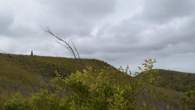 East coast heath country ecotourism route: Australia's northernmost cattle property, the spectacular 131,900ha Bramwell Station has areas of high conservation value. Picture: Supplied.