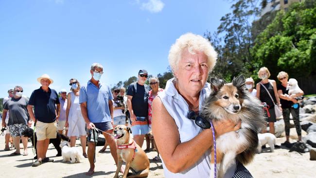 Vivienne Williams has gained almost 1000 signatures from dog owners who want La Balsa Park and Point Cartwright Reserve to continue to be a dog friendly area. Picture: Patrick Woods.