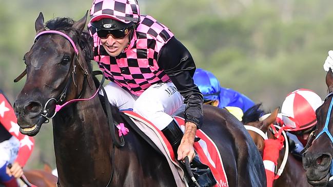 Emerald Kingdom, ridden by Michael Rodd, wins the Sunshine Coast Cup. Picture: Trackside Photography