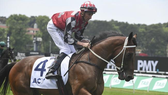 Feirme Prince is coming off a big run at Dubbo. Picture: Bradley Photos