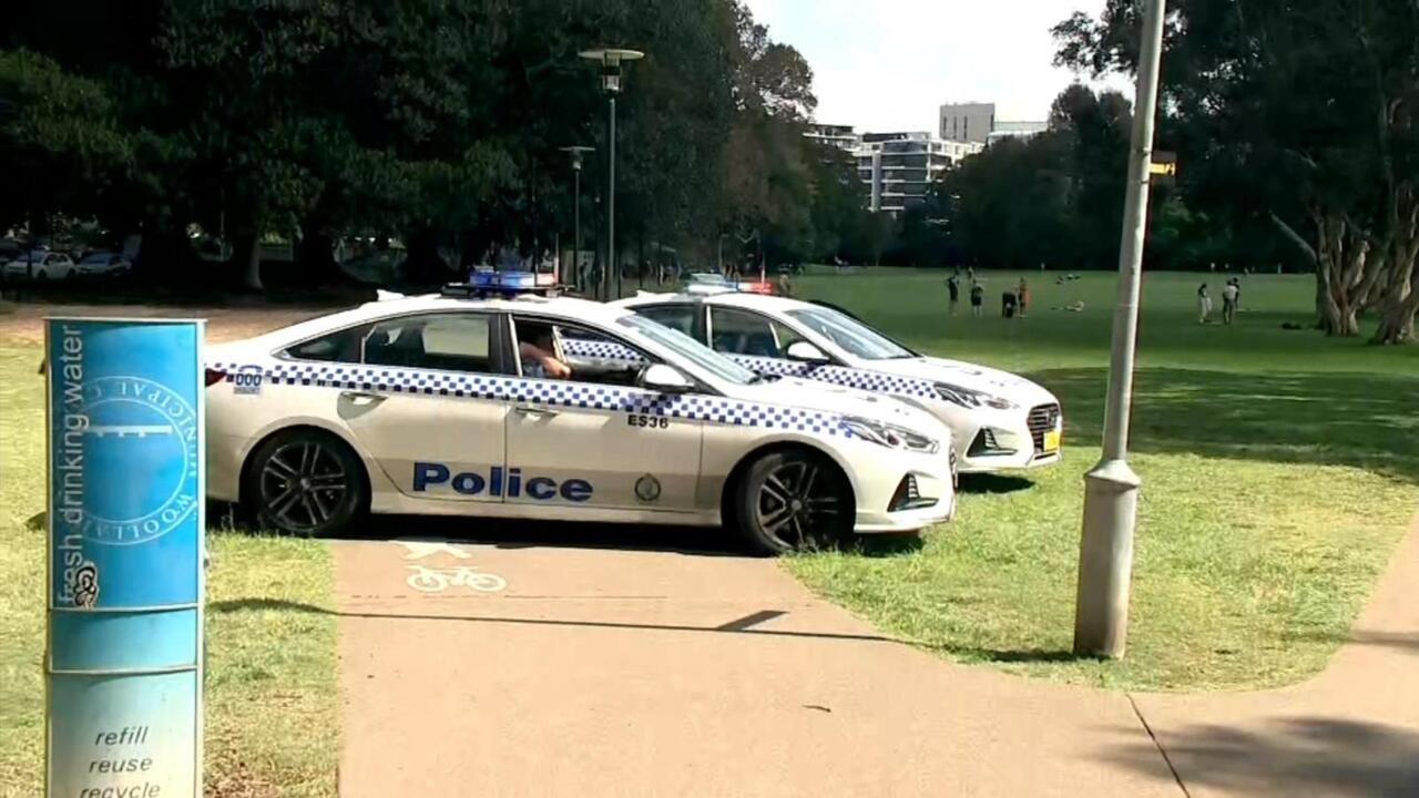 NSW Police Commissioner defends officers after Sydney parks, beaches were raided