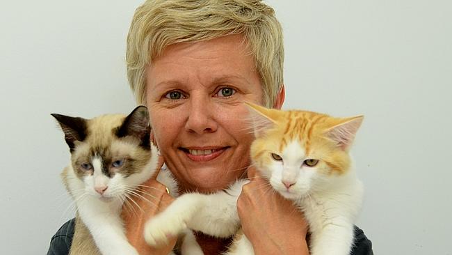 Yeronga Vet Surgery is having success finding new homes for