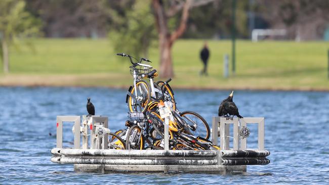 How’d they get here? These abandoned oBikes are stranded in the middle of Albert Park Lake. Picture: Alex Coppel.