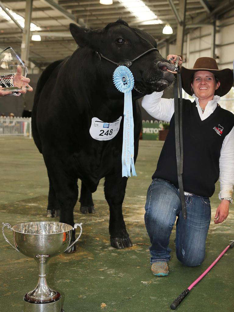 Christie Kennedy and Supreme Champion Angus bull at the Royal Melbourne Show. Picture: Yuri Kouzmin