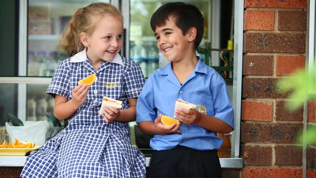 New health ratings for school tuckshop food | Daily Telegraph