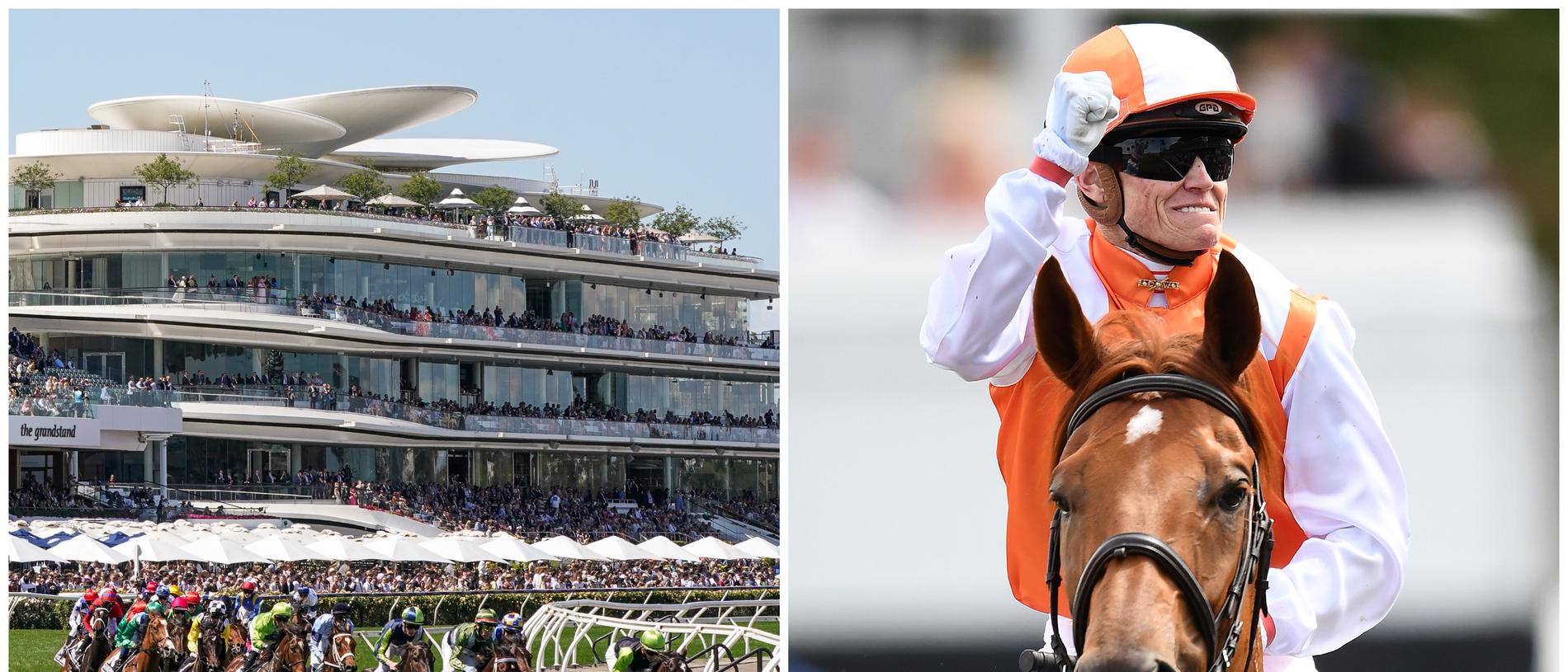 Melbourne Cup 2022 form guide, horses, tips, odds, field, analysis of every runner picture image