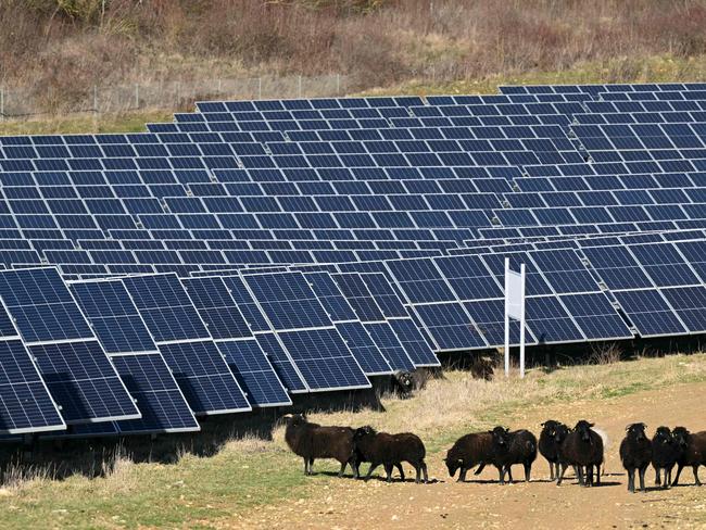 This photograph taken on February 12, 2024 shows sheep in front of panels at the Solar PV Park in Marcoussis, outside Paris. Marcoussis Solar PV Park is a ground-mounted solar project which is spread over an area of 23 hectares. (Photo by Bertrand GUAY / AFP)