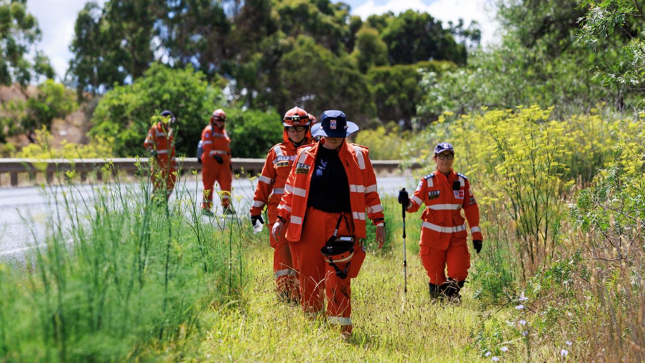 SES volunteers search bushland near Shelford on January 7. Picture: NewsWire / Aaron Francis