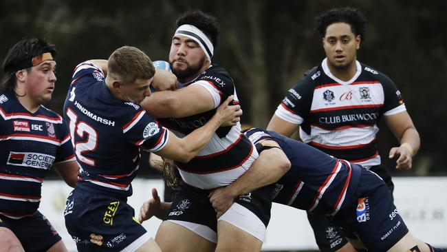 West Harbour playing Eastern Suburbs in the Shute Shield in 2020.