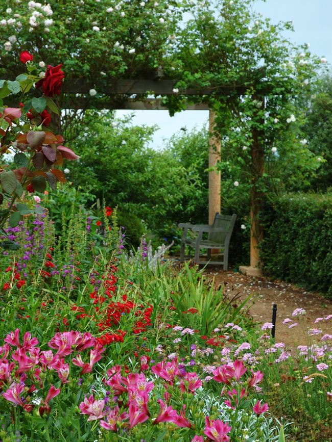 Roses form an arch on this pergola. Picture: Fawcett Media