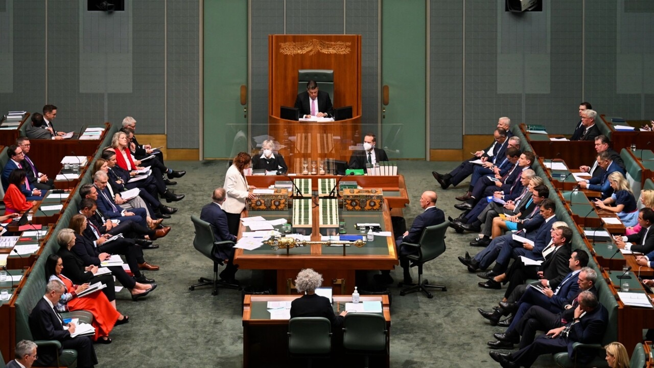 Labor rejects Coalition proposal to ban Nazi salute