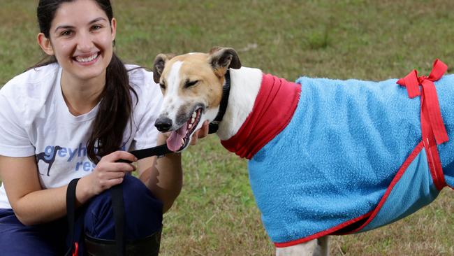 Greyhound Rescue volunteer Stephanie D'Souza with Johnny (begoodhound). Picture: Peter Kelly