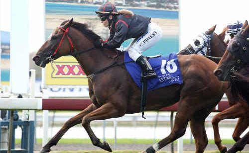 Laughing Crusader, ridden by Cassie Priest, wins the Niagara Furniture Finishes Handicap at Corbould Park yesterday. Picture: Nicholas Falconer