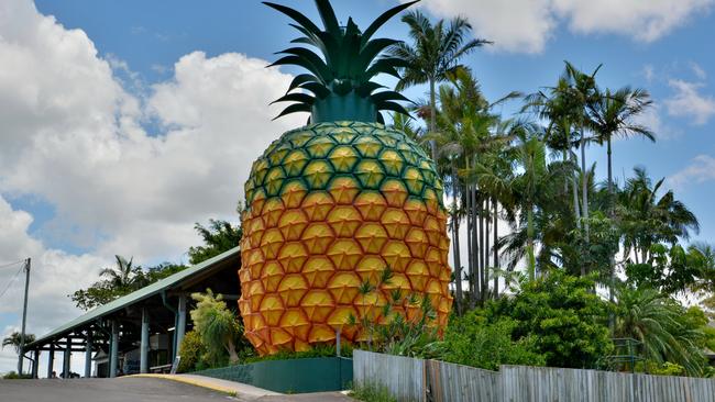 Fire crews attended the scene of a shed on fire on the premises of the Big Pineapple in Woombye.