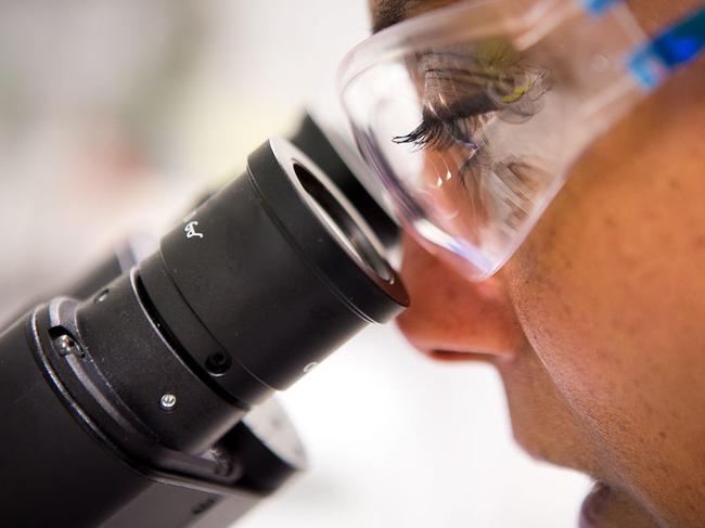 Research at the Doherty Institute did experiments over almost two years on the Australia-grown garlic. Image: Supplied, The Doherty Institute