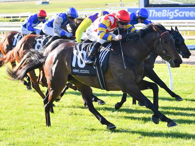 Socially Sassy ridden by Jake Noonan wins the Highview Accounting Plate at Mornington Racecourse on May 27, 2024 in Mornington, Australia. (Photo by Pat Scala/Racing Photos via Getty Images)