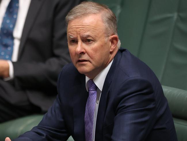 Labor leader Anthony Albanese. Picture: NCA NewsWire / Gary Ramage