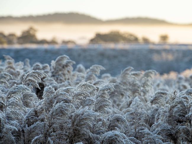 NEWS: Frost. Frosty morning in LancefieldPICTURED: Frost. Frosty morning in LancefieldPicture: Zoe Phillips